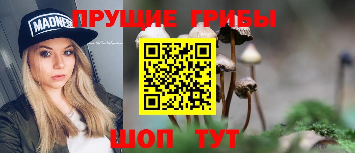 Псилоцибиновые грибы мухоморы  Псилоцибиновые грибы мухоморы  что такое   Вход с VPN  Усолье-Сибирское 